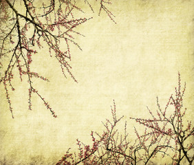 plum blossom on old antique vintage paper background