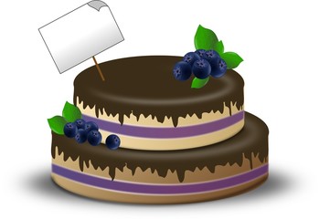 Blueberry cake