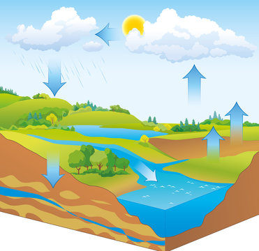 Vector schematic representation of the water cycle in nature