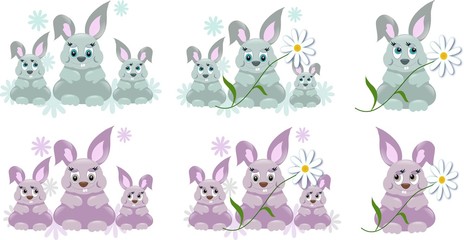 Cute rabbits