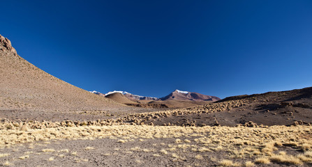 Bolivia volcano