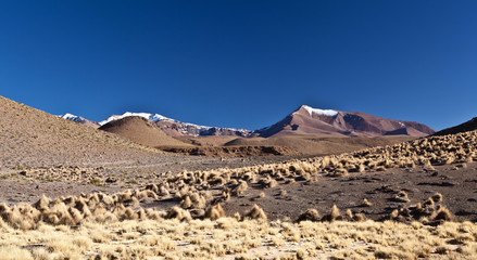 Bolivia volcano