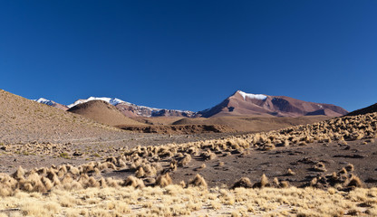 Bolivia volcano