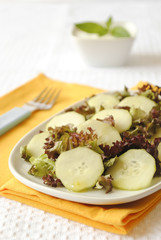 Insalata di Cetrioli e Lattuga Rossa