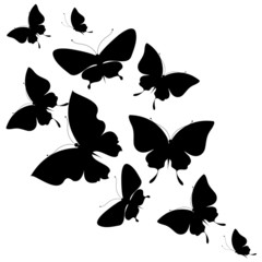 butterflies design