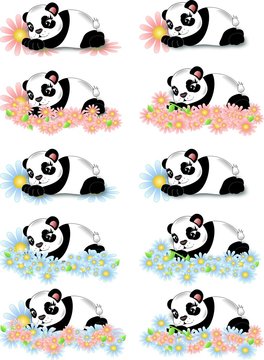 Pandas with flowers