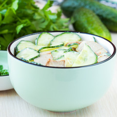 Fresh salad with cucumber, pork meat, sour cream, yogurt, health