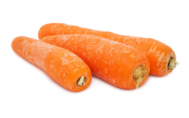 Carrot