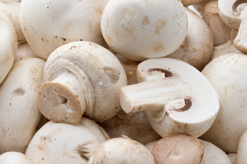 Champignon mushrooms