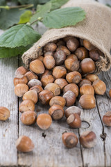 Heap of Hazelnuts