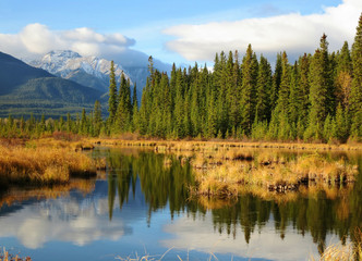 Jasper National Park, Alberta, Canada