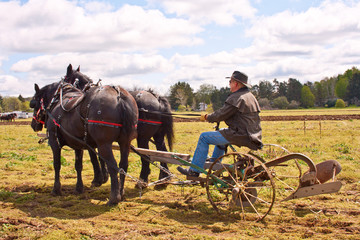 Man Plowing The Old Fashioned Way