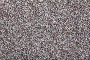 poppy seed background texture