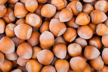 hazelnuts background