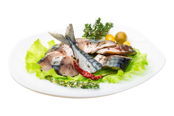 Mackerels