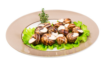 Escargot