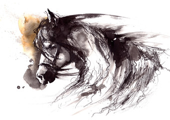horse © okalinichenko