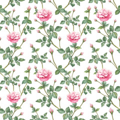 Watercolor pattern with rose illustration