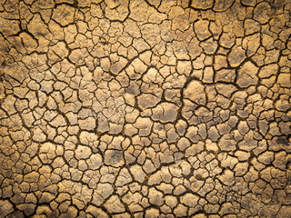 dry soil background