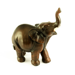 elephant as a model