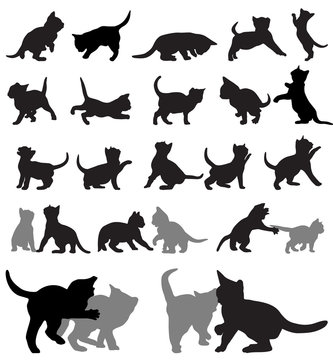 Kitten silhouettes