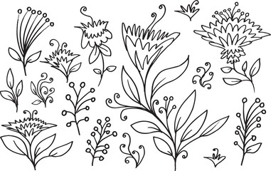 Doodle Sketch Flowers Spring Vector Set