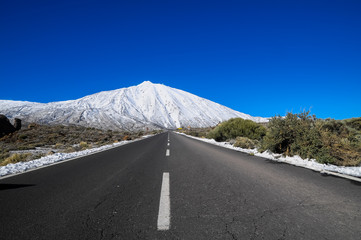 Desert Landscape