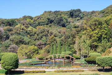 Wood bridge