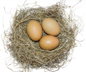 Fresh eggs in nests for cooking