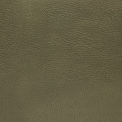 Green leather