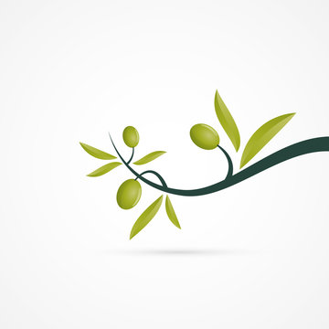 803 Best Olivier Branche Images Stock Photos Vectors Adobe Stock 803 Best Olivier Branche Images Stock Photos Vectors Adobe Stock