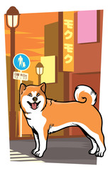 japanese dog on the city street