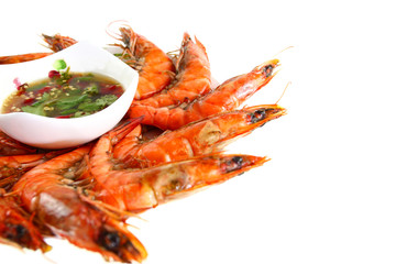 Fresh shrimp