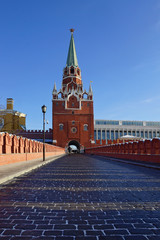 Obraz na płótnie Canvas Trinity Tower of Moscow Kremlin, Russia