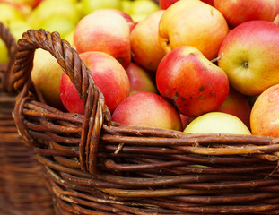 ripe apples in the basket
