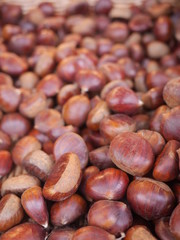 chestnuts