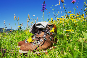 Hiking Alps