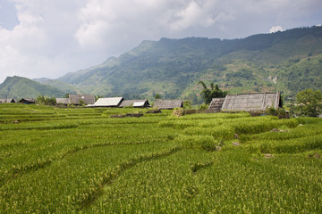 Fototapeta na wymiar Village near Sapa, Vietnam