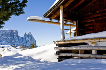 Winter
