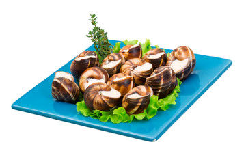 Escargot