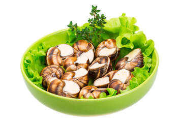 Escargot