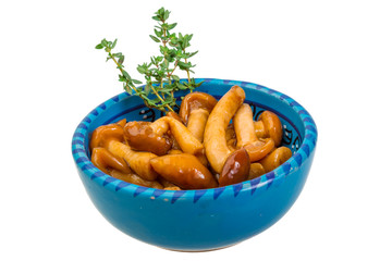 Armillaria
