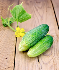 Cucumber with flower on a blackboard