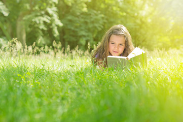Spannendes Buch auf Sommerwiese
