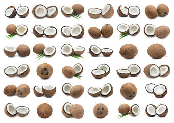 Coconuts