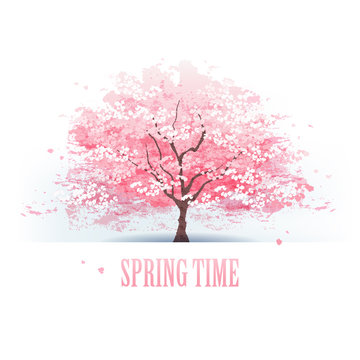 桜の幹 の画像 43 739 件の Stock 写真 ベクターおよびビデオ Adobe Stock