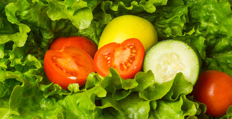 Fresh green lettuce tomato and cucumber