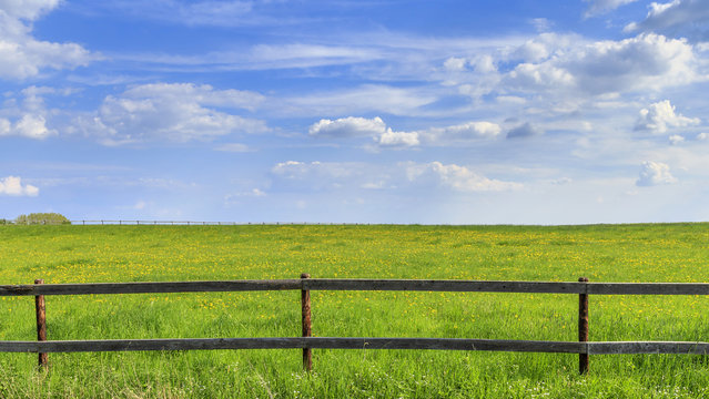 Holzzaun vor gr&uuml;ner Wiese