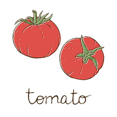 Tomato sketch