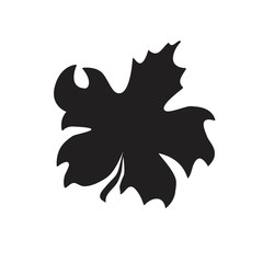 Maple leaf isolated on white. Vector element